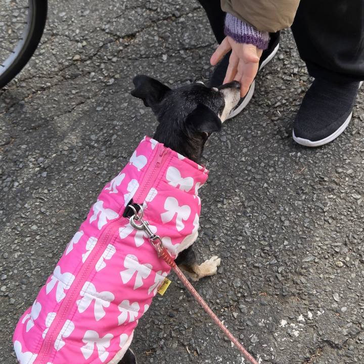 A15fe1e6 1cb7 4d8e b4e7 f5bfc622f182 1770696412547