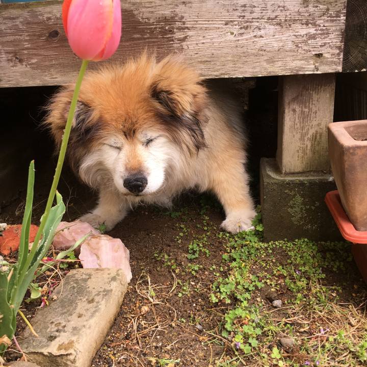 A15ff0dd 35b6 452a 9380 4d79f0f0918e 1592897857533