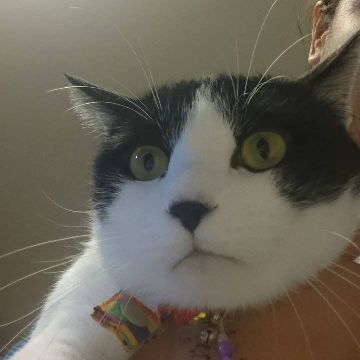 A1600b9a 0a00 4f8c 98f0 5be56e55c7a8 1569292332563