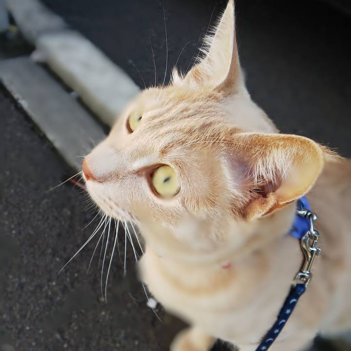 A1601812 04b0 4d1c b02b 1434578121ad 1566864829954