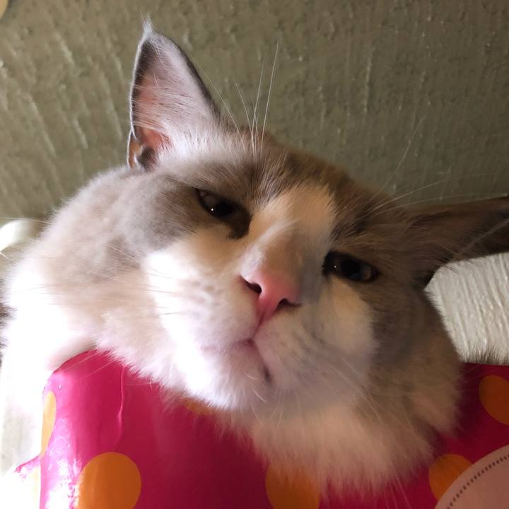 A1601e04 01ed 45a2 8638 a659b27ed0c3 1572861881439