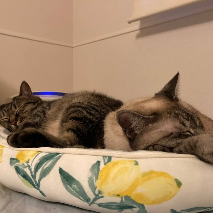 A16030c8 21ba 4443 b509 e961ebb11d58 1687169163331