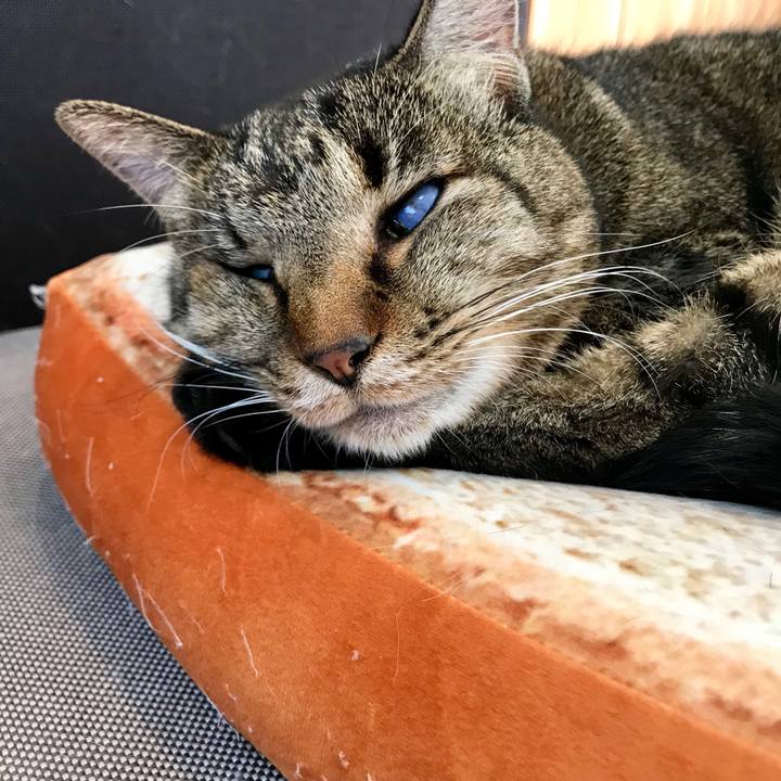 A1604d56 3c41 45b7 b060 f9fa99a95a30 1544838103800