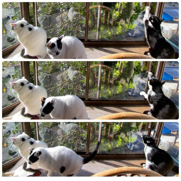 A16054c0 d18f 4d1e a18a 6bc683774c13 1678926048811