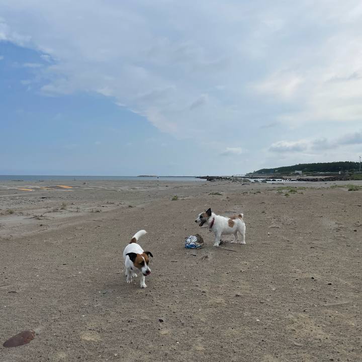 A160651c afc8 4515 a2c5 95e41a72a130 1720226323711