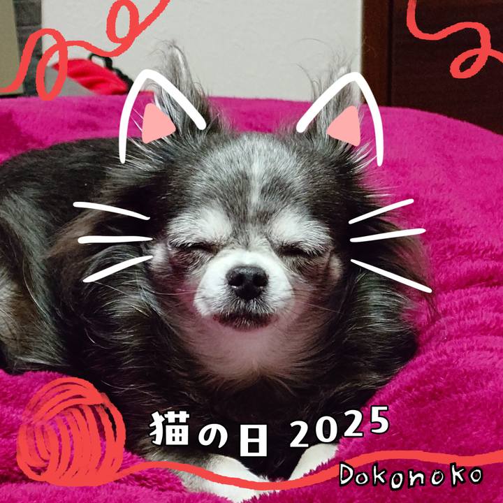A16084ba 90f4 476a 9439 9bd7cc20250f 1740245782134