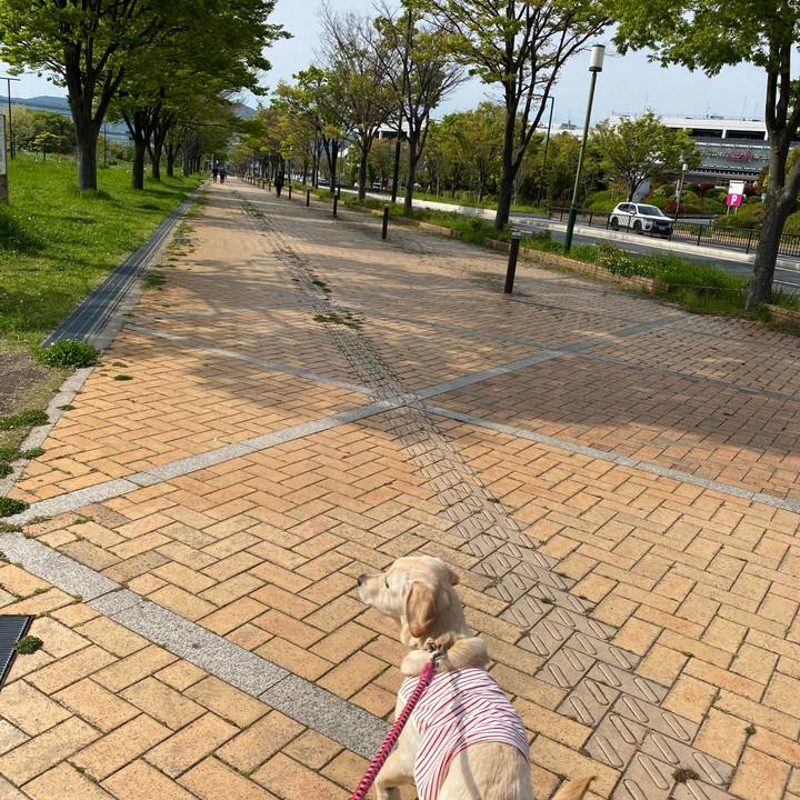 A16089f7 5cf8 4372 82ad 6a84efff0f4d 1618038278163