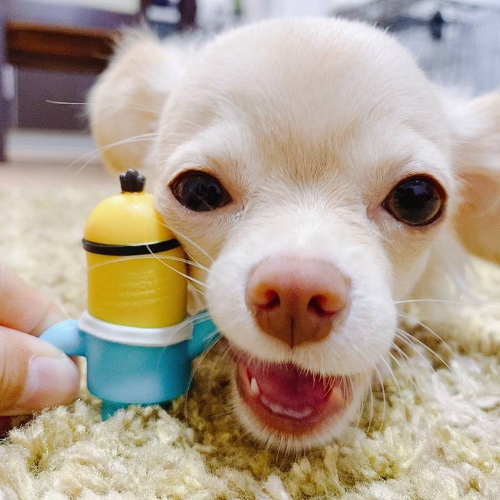 A160afb0 ac39 4503 a2bb 237ca1cc33ba 1596780506556