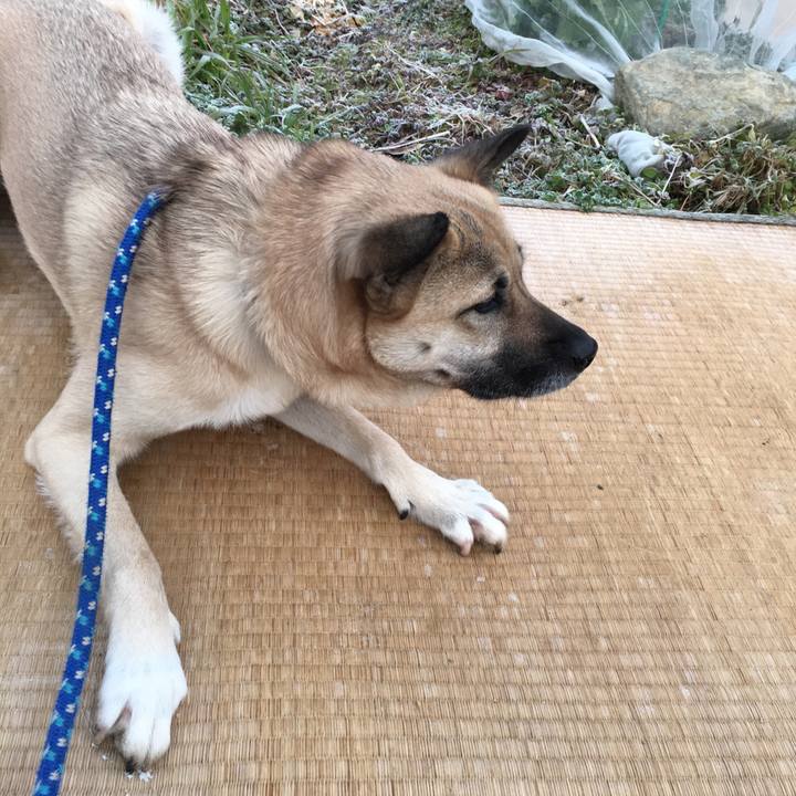 A160e7c3 916d 4d0b a5e3 2f1ddb241ca2 1517574483475