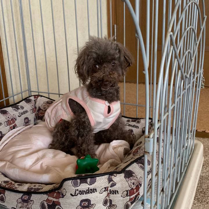 A160f53e ee3e 4506 9edd de8424211503 1561017440923