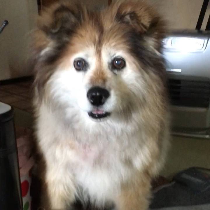 A160f926 7be1 439d a785 864f2fad233c 1562832653084