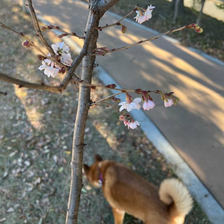 A160fca8 a5b1 4179 8644 68b56458eb6d 1734152590388