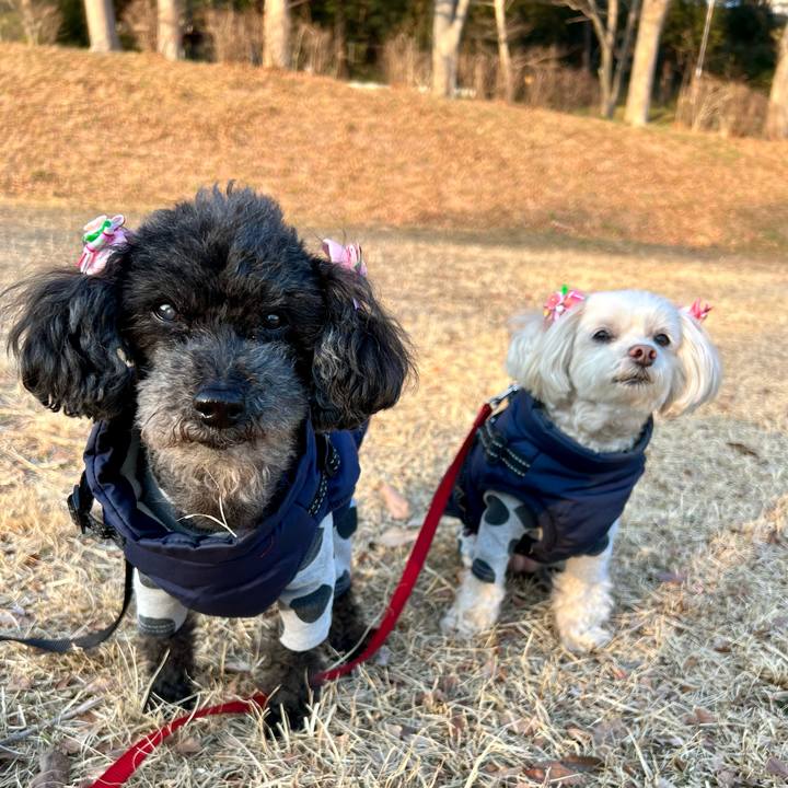 A1610928 c3a6 4580 813e fd18ebccb058 1771402587398