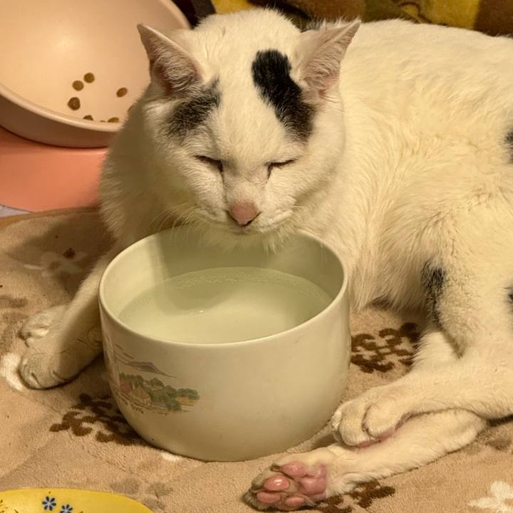 A16136aa 3c73 4b5a 8ce1 cc38c940e308 1768656269788