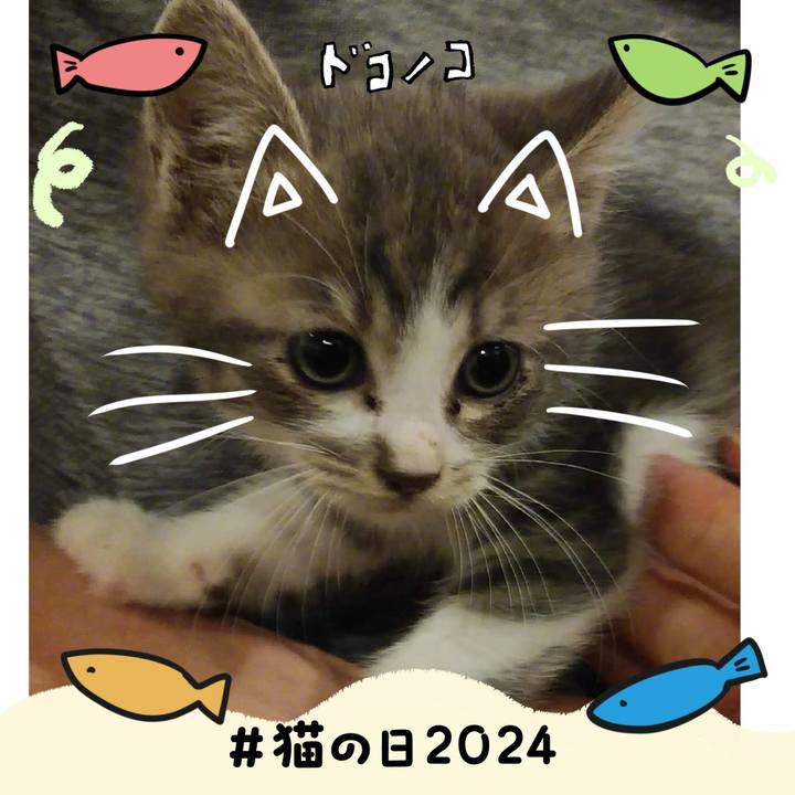 A16155a3 f02a 44cf 8394 7b36996b1f25 1708554766631