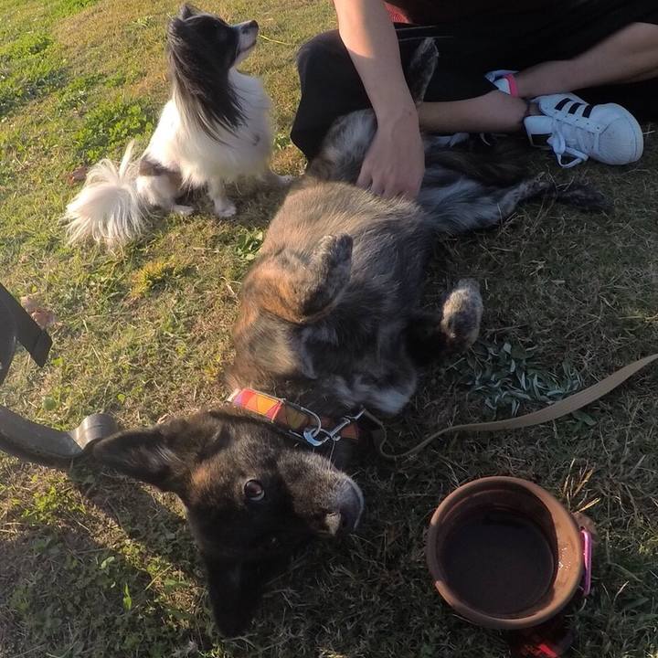 A1616407 a07c 4e3d a6a6 2f014a13a039 1510576844230