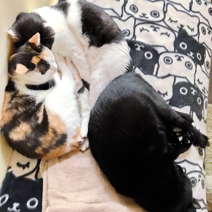 A161756a d1fd 4642 9a26 8b684ef6dfd6 1507854544613