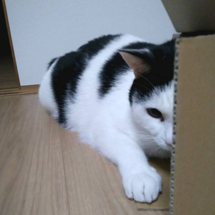 A16195e0 cd49 4f2e aa8b 88eb6c7f7667 1554816572940