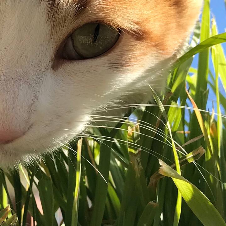 A161961f d127 4969 9f09 dde43ded4384 1514862655248