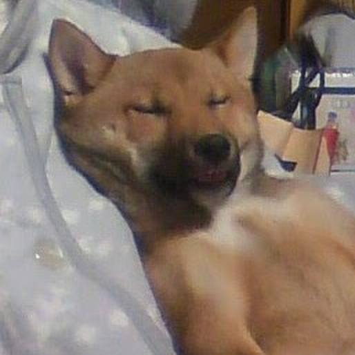 A1619c62 5f48 40dd 8afc ec4f688a9e3a 1535499455302