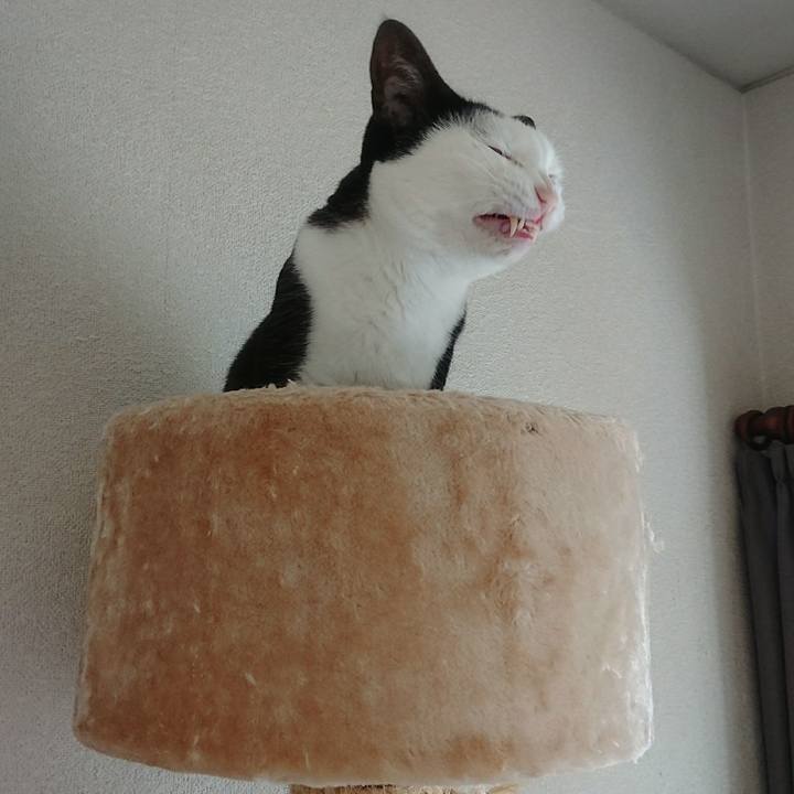 A161c28b e469 4109 ad6a 0a09a06b4870 1524634491976