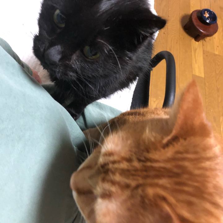 A161cd37 e28d 4eb3 a168 4bb90f093a7f 1646135983470