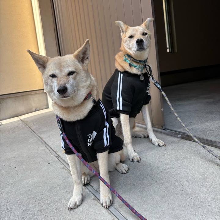 A161fbbe 1c61 4915 bf9b 8e2e669a943f 1764654477331