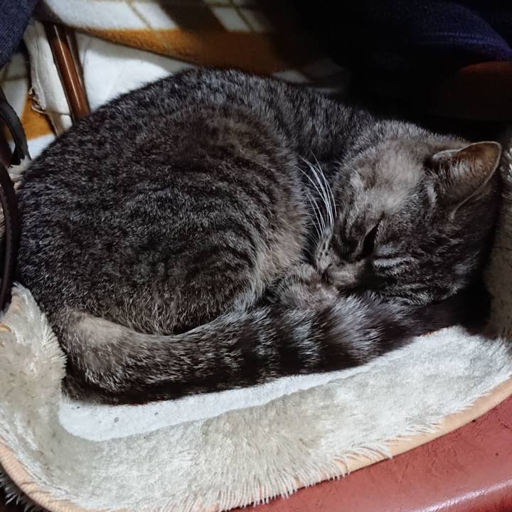 A1624011 ca9f 4625 a99a fa4ce236f64a 1552988498553