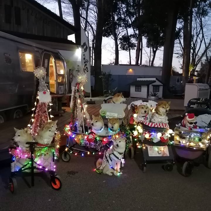 A162496f 5558 4506 bf60 f7bca31518de 1671962962795