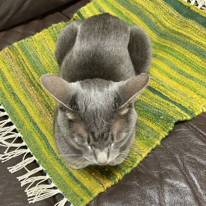 A162501d e98a 45b5 8aec e80d7301b6e7 1647517092123