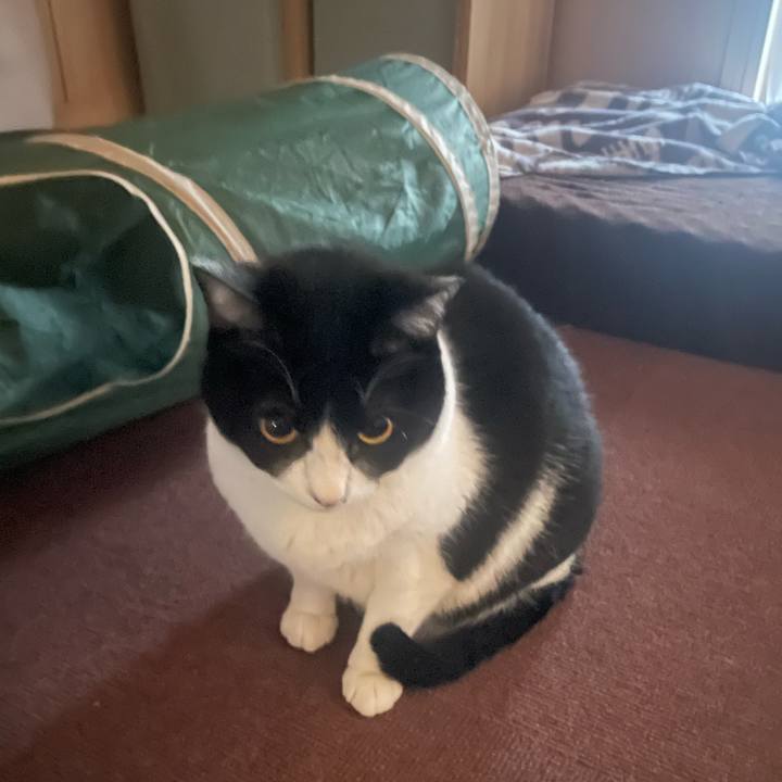 A16253a0 eb21 48f4 9b4f f3aa0bb9e843 1772247295343