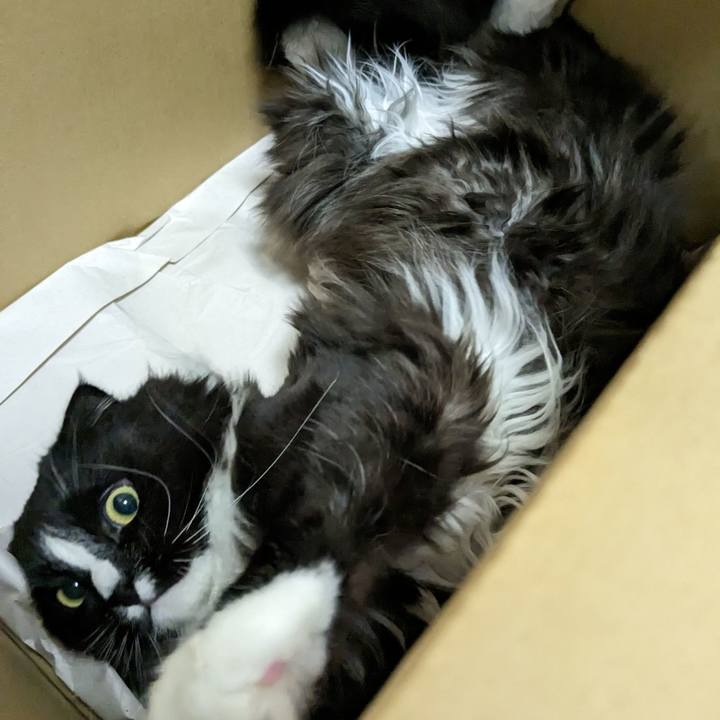 A1625a4d ecab 4f09 8e0a 227c511949ad 1681558888758