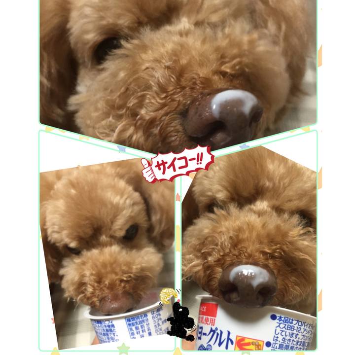 A162904a 6dc7 4808 b5bd 7d968796d5d9 1526165515675