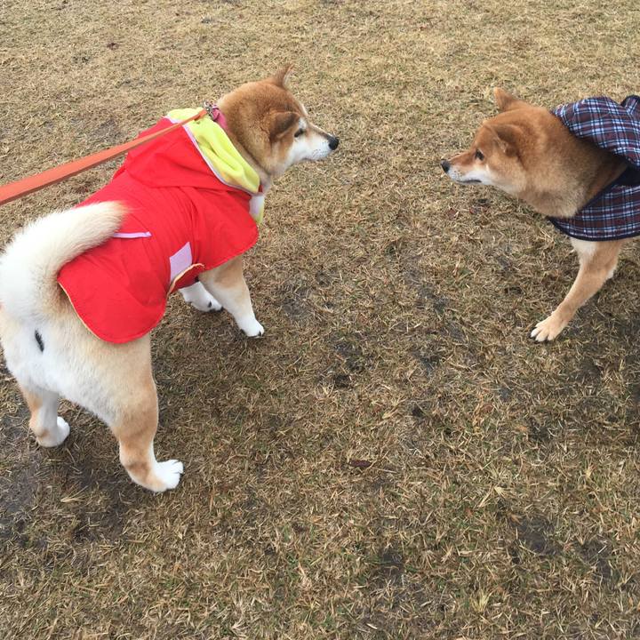 A162c01c 319e 4f03 8810 76ee79170c52 1574490500685