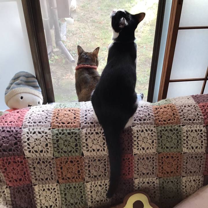 A162c5e8 5055 448e bd49 36c1b9fabaff 1633905233707