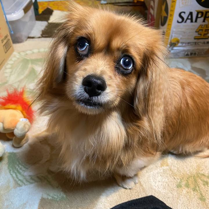 A162d845 0e7b 4a13 b32a ede97d37b082 1576620211145