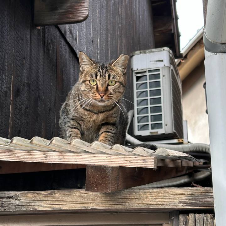 A162f177 36ee 4ea4 8427 637e40506b70 1731369882675