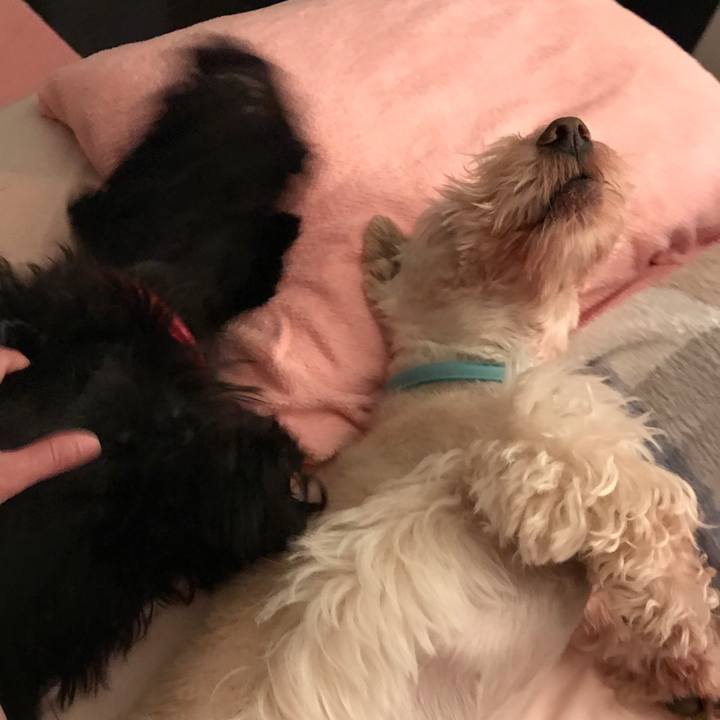 A162f4a9 5c99 4698 a788 c394fd671365 1534981291148