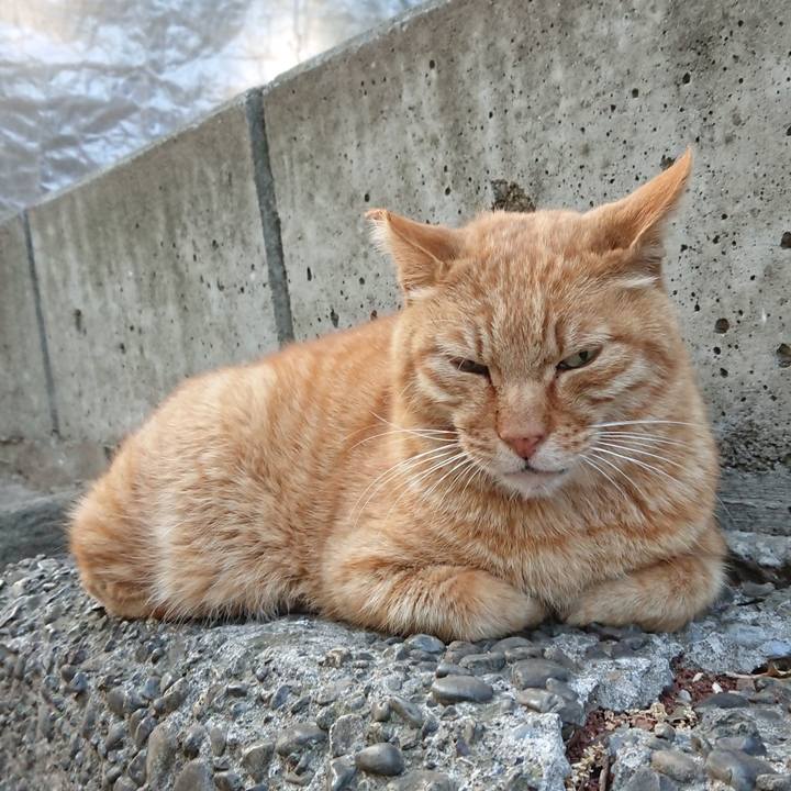 A1630607 31a0 4913 8c62 767ddff0a0dd 1683104728292