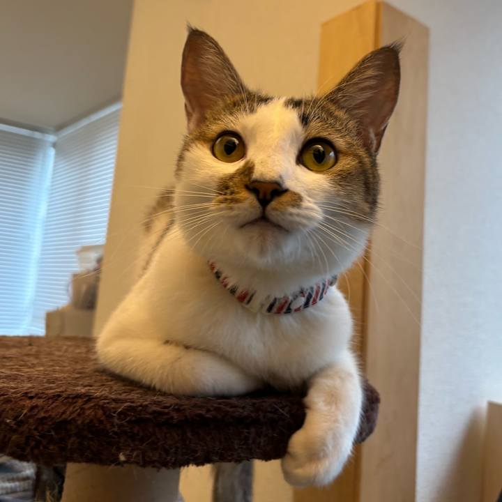 A1634456 1f21 4459 800a e343dfa6397d 1760182806077