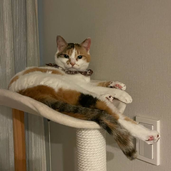 A163a642 4d0c 42ce b0b4 35aa7662f01d 1750340872286