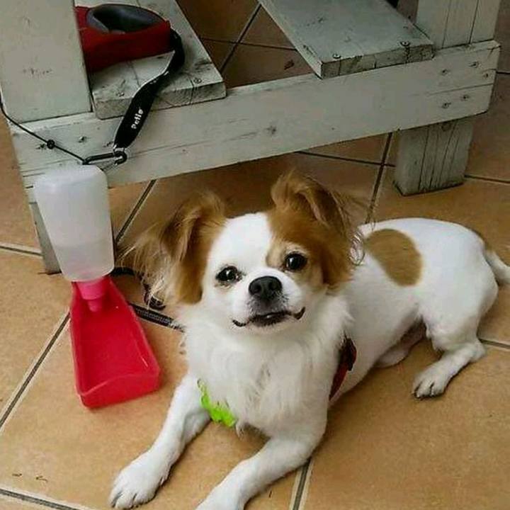 A163bfec 1b09 48b3 bc26 964cb90b3aa4 1526269590605