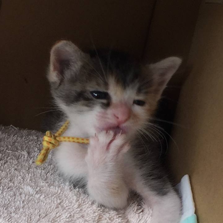 A1642240 63e9 4b6f 8acc c94dfce37b49 1568253537456