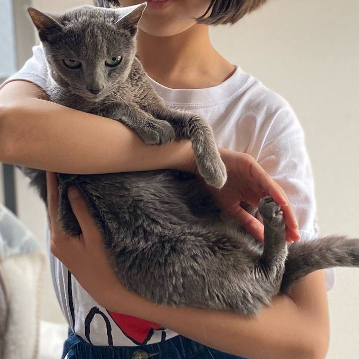 A16443a8 1248 426a 8a5a fe4e024e16c1 1620891093040