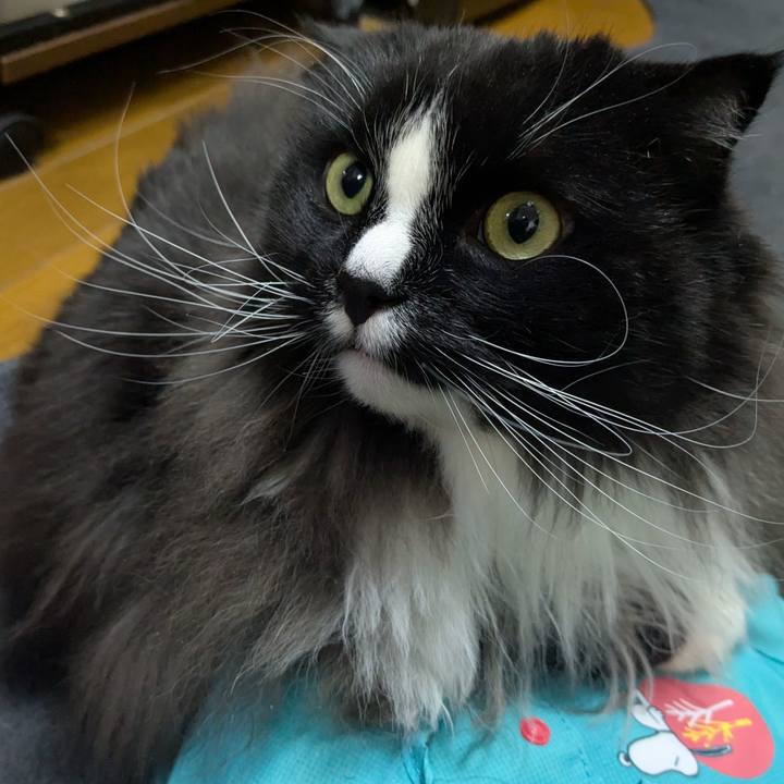 A164a2e8 2ebb 4c29 a8df 0664ebc46551 1770116305255