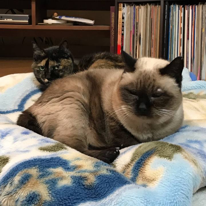 A164aaa5 4cea 4fd8 abc3 51f1a4fc34bf 1572320554489