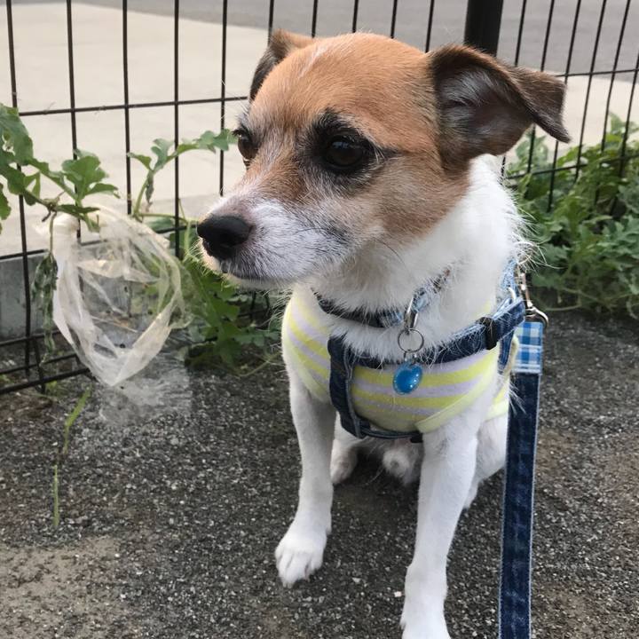 A1652c77 2391 44fb 9f7c a1f2424bb899 1536289540801