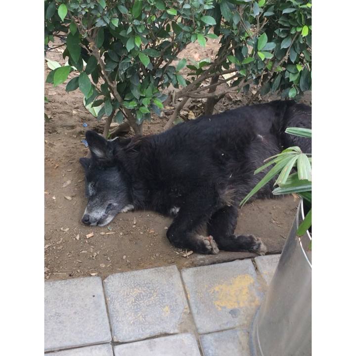 A1652e69 fd66 4b6c 8062 562f183a3cf8 1554854119345