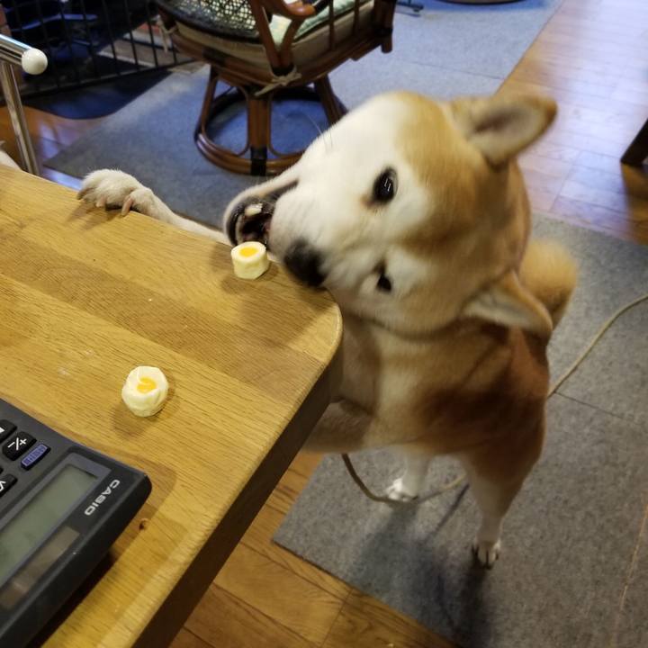 A16537ce 4af4 4fbe 90c5 1f0c54438499 1605852519125