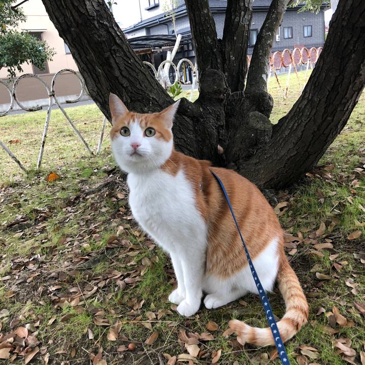 A1654e68 6fbf 41ac a265 29d02fc03a71 1540956815657